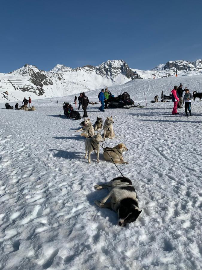 Bel Appartement Ski Aux Pieds Plagne Bellecote La Plagne Exterior foto